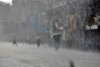 crop damage in Pathanamthitta  rain news  rain alert  പത്തനംതിട്ടയില്‍ മഴ  കൃഷി നാശം  പത്തനംതിട്ട വാര്‍ത്തകള്‍  കാലാവസ്ഥാ റിപ്പോര്‍ട്ട്