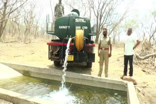 Water supply for animals in Nilgiris  Water supply for animals  Water supply for Wildlife  Wildlife  Nilgiris Water Supply  Water filling work for wildlife  வனவிலங்குகளுக்கு தண்ணீர் நிரப்பும் பணி  முதுமலை புலிகள் காப்பக வனப்பகுதி  வனவிலங்கு