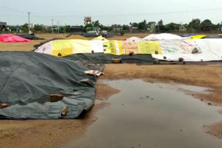 heavy rain in husnabad and staind grain