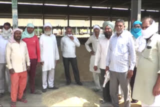 farmers upset due to not crop procurement in sirsa Grain Market