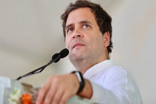 Ambedkar Jayanti: Rahul Gandhi pays homage to Babasaheb  Ambedkar Jayanti  Ambedkar Jayanti Rahul Gandhi  രാഹുൽ ഗാന്ധി  ഡോ. ബി.ആർ അംബേദ്‌കർ  അംബേദ്‌കർ ജയന്തി  ഇന്ത്യൻ ഭരണഘടന ശിൽപി  രാഹുൽ ഗാന്ധി ട്വീറ്റ്  Rahul Gandhi paid homage