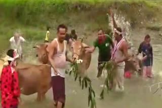 Darrang bihu