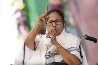 mamata