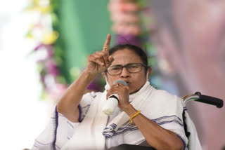 BJP brought outsiders in Bengal for poll campaign, contributed to COVID surge: Mamata