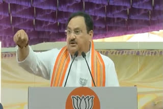 jp nadda slams mamata banerjee