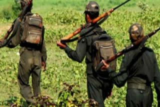 Naxalites involved in 744 robberies and 96 loot incidents in last 18 years-at chhattisgarh