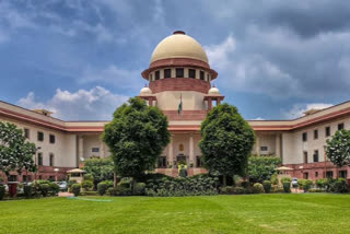 Supreme court