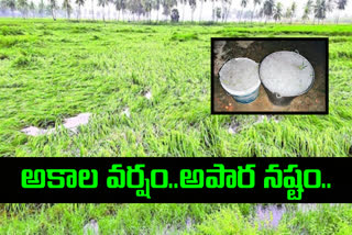 crop loss due to ap