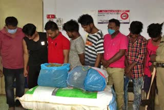 9 drug peddlers arrested with 30 grams of brown sugar & 60 kgs of ganja in Tripura