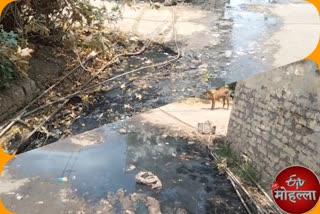 people facing problem due to drains jammed in jaunapur village of south delhi