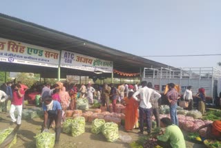 Chittorgarh vegetable market, चित्तौड़गढ़ न्यूज