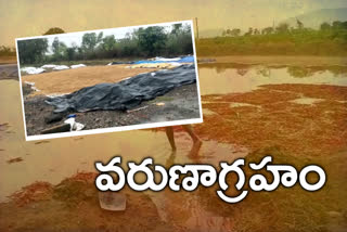 rain in bhadradri kothagudem district