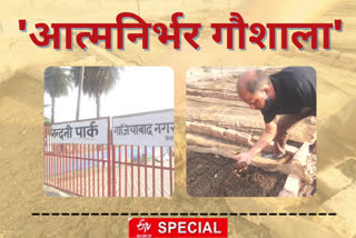 cow dung is used to make Burmese Compost in Nandi Park Gaushala