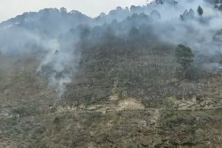 61 fire incidents in Badrinath Forest Division so far