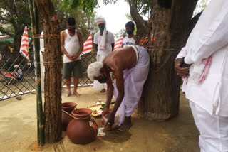 pahan worshiped at Sarna Sthal on sarhul festival in ranchi