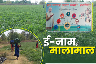 farmers getting profits from selling products online In Hazaribagh