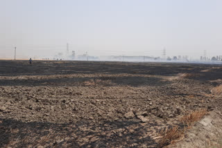 Karnal wheat crop fire, करनाल गेहूं फसल आग