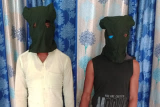 Two cyber criminals arrested