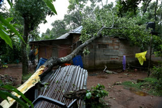 rajakkad idukki  house collapsed  മരം വീണ് വീടു തകർന്നു  കാറ്റിലും മഴയിലും നാശനഷ്ടം