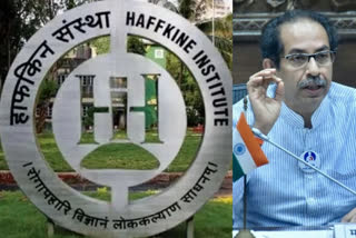 Centre approves Haffkine Institute produce Covaxin  Maharashtra  Haffkine Institute to manufacture Covaxin  Hyderabad-based Biotechnology company  Maharashtra Chief Minister Uddhav Thackeray  Maharashtra vaccine production  Maharashtra COVID-19 situation  Mumbai-based Haffkine Institute  കൊവാക്സിൻ നിർമ്മാണം; ഹാഫ്കൈൻ ഇൻസ്റ്റിറ്റ്യൂട്ടിന് കേന്ദ്രാനുമതി  കൊവാക്സിൻ നിർമ്മാണം  ഹാഫ്കൈൻ ഇൻസ്റ്റിറ്റ്യൂട്ടിന് കേന്ദ്രാനുമതി  കേന്ദ്രാനുമതി  ഹാഫ്കൈൻ ഇൻസ്റ്റിറ്റ്യൂട്ട്  കേന്ദ്ര സർക്കാർ  കൊവാക്സിൻ