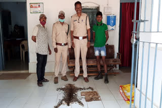 Accused arrested with leopard skins