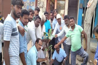 veerachari gave drive to planting tree concept