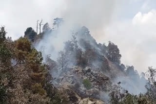 damage-to-forest-wealth-and-fauna-due-to-fire-in-the-forests-of-mussoorie