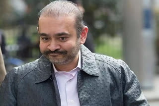 Fugitive billionaire Nirav Modi's extradition to India cleared by UK government