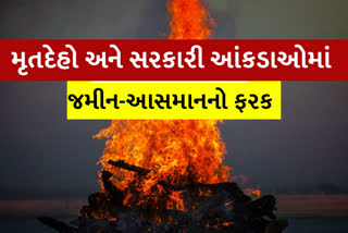 ભાવનગર સમાચાર