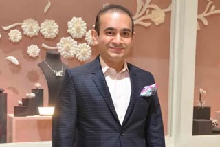 UK Home Minister  UK Home Minister approves extradition of Nirav Modi  extradition of Nirav Modi  Nirav Modi  UK Home Minister  നീരവ് മോദി  ബ്രിട്ടീഷ് സര്‍ക്കാര്‍  പഞ്ചാബ് നാഷണല്‍ ബാങ്ക് തട്ടിപ്പ് കേസ്