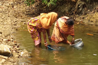 ବୌଦ୍ଧ ଉପାନ୍ତ ଅଞ୍ଚଳରେ ପାନୀୟଜଳ ଓ ବିଦ୍ୟୁତ ସମସ୍ୟା