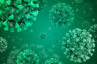 Record 2.34 Lakh Fresh coronavirus Cases In India, 1,341 Deaths In 24 Hours