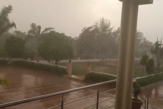 Rain in raniwada,  Weather news