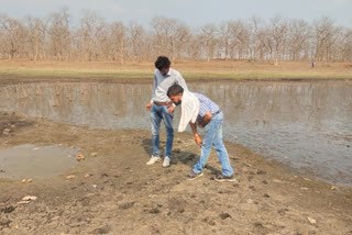 Sub-divisional officer visited for availability of water in the forest