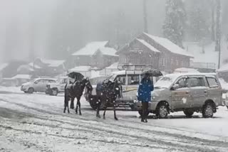 Tourist resort Gulmarg receives Snowfall