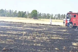 sonipat fire in crop field