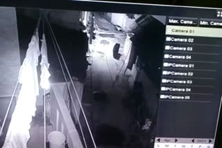 Bear roams in hose premises: scene captured on CCTV കരടി അനേകൽ അനേകൽ കരടി കരടി സിസിടിവി Bear hose premises CCTV capture Bear hose premises Bear Bear CCTV