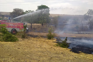 Neemuch: Fire breaks out in forest and fields, fire brigade extinguished fire