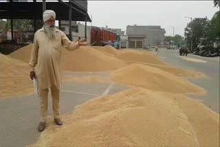 Ludhiana farmers fear crop damage due to delay in procurement