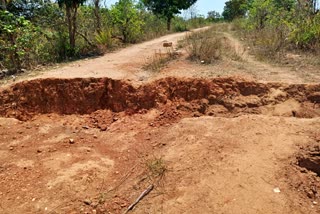 Naxalites cut road in Dantewada