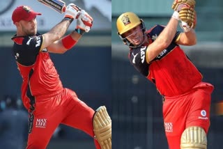 rcb, maxwell, diviliars