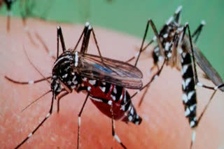 Nuh district became malaria free
