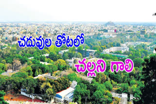 andhra layola collage