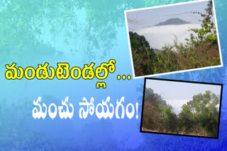 fog in alliavaram hills news