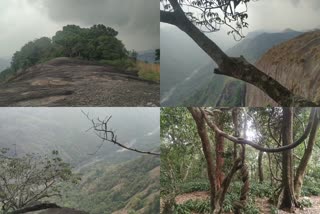 സാഹസികതയും ഒപ്പം ദൃശ്യചാരുതയും; സഞ്ചാരികളെ കാത്ത് മീനുളിയാൻപാറ  മീനുളിയാൻപാറ  മീനുളിയാൻപാറ ഇടുക്കി  ഇടുക്കി  ഇടുക്കി വിനോദ സഞ്ചാര കേന്ദ്രം  meenuliyanpara  meenuliyanpara idukki  idukki tourist places