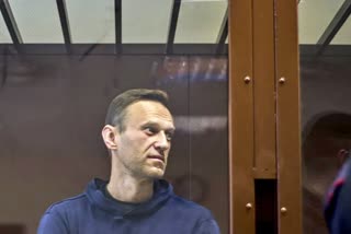 alexi navalny