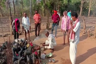 special puja done on navratra in Nirai Mata temple of Dhamtari