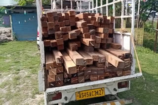 illegal-wood-seized-by-forest-officer