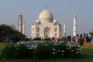 ASI to bring Taj Mahal's natural shine  mud pack treatment  Taj Mahal CONSERVATION  Archaeological Survey of India  UNESCO  Wah Taj  താജ്മഹലിനെ കൂടുതല്‍ തിളക്കമാർന്നതാക്കാനൊരുങ്ങി ആര്‍ക്കിയോളജിക്കല്‍ സര്‍വെ ഓഫ് ഇന്ത്യ
