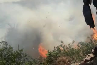 fire in Forest in dhanbad